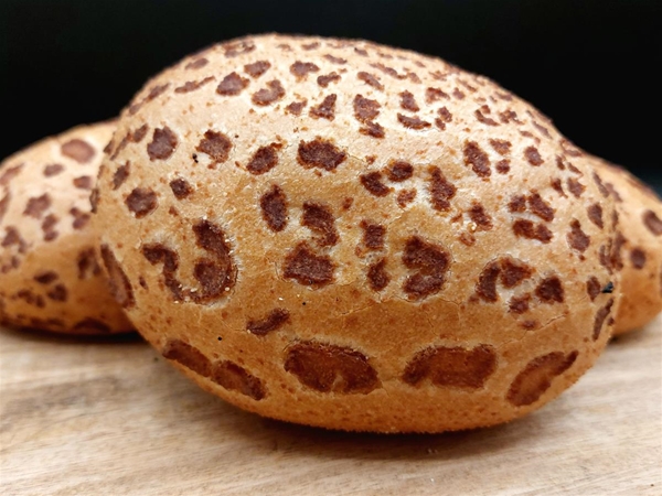 DIVERSE HARDE BOLLEN