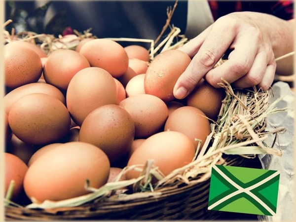 Achterhoekse Eieren!